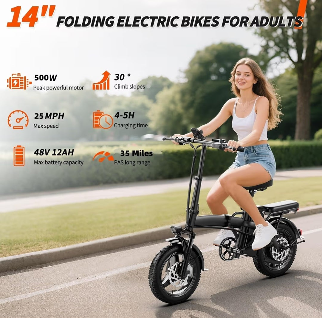 Folding Electric Bike with Removable Battery (E-Bike)