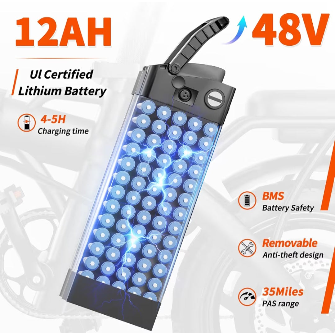Folding Electric Bike with Removable Battery (E-Bike)