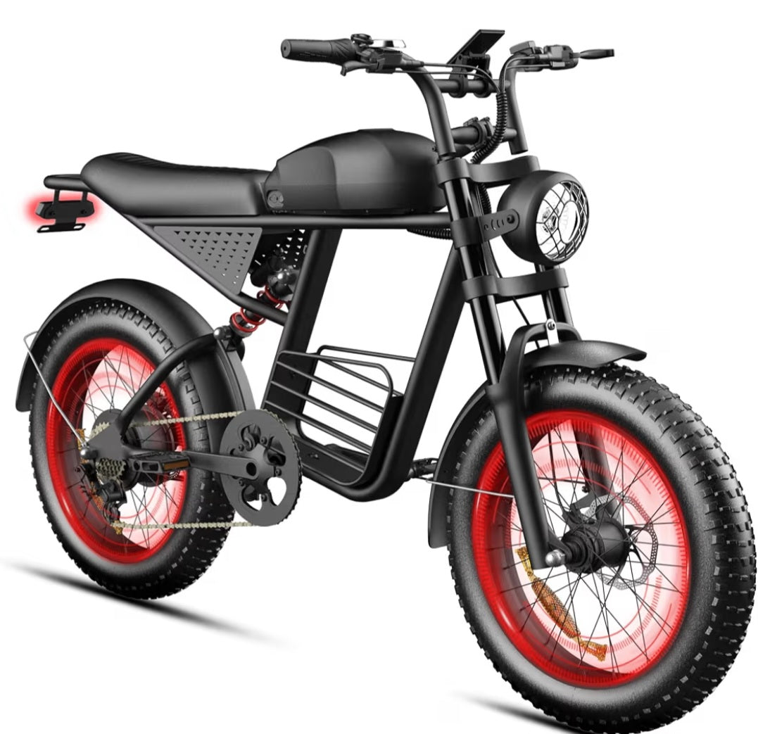 Electric Bike (E-Bike)